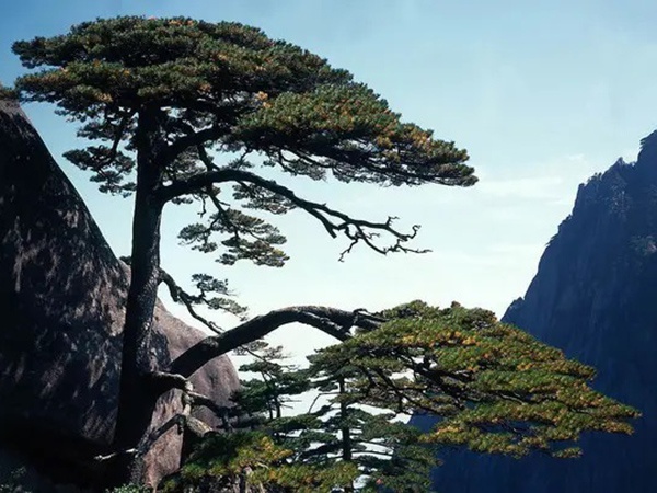黄山